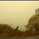 A Study in Fog